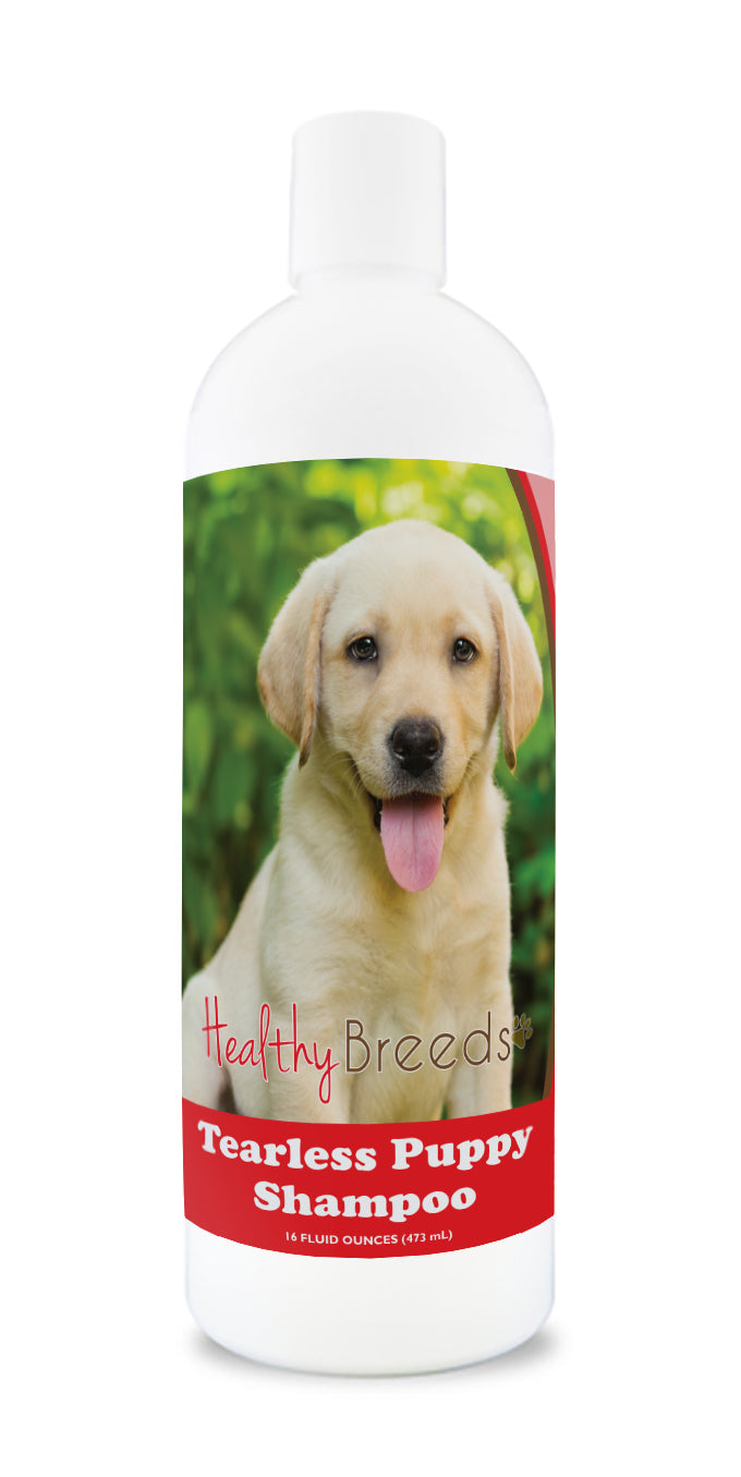 Best shampoo for labrador retrievers hotsell