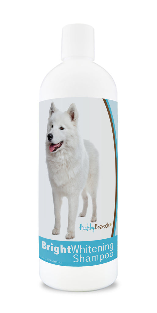 Samoyed 2024 whitening shampoo