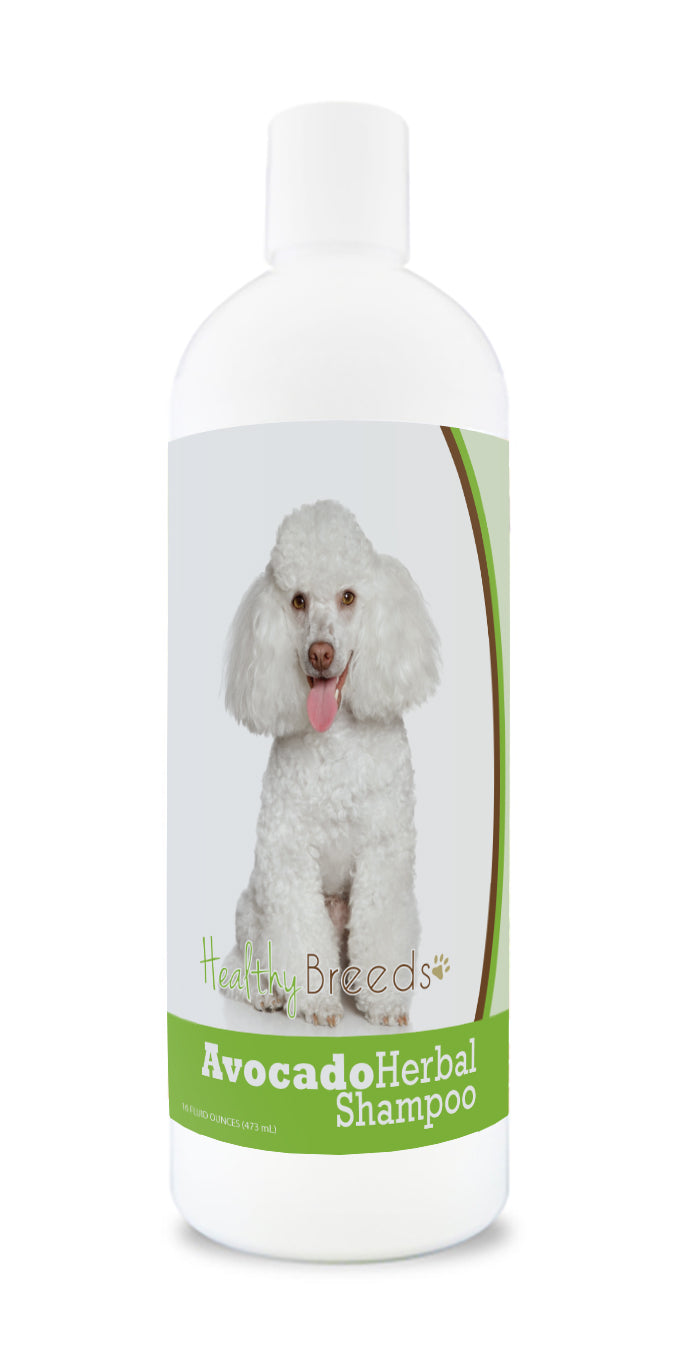 Poodle 2024 puppy shampoo