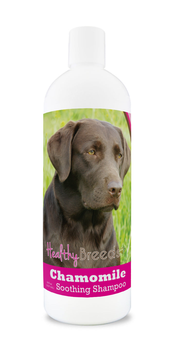 Labrador best sale retriever shampoo