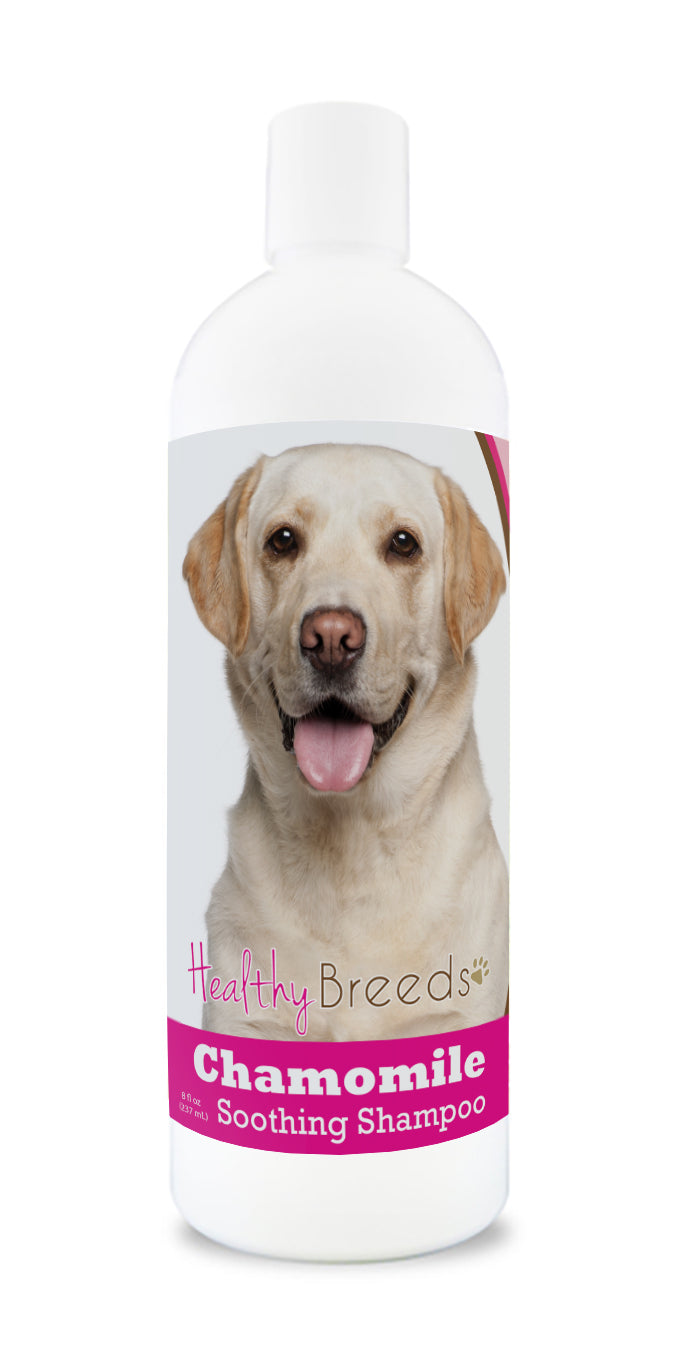 Labrador retriever sale shampoo