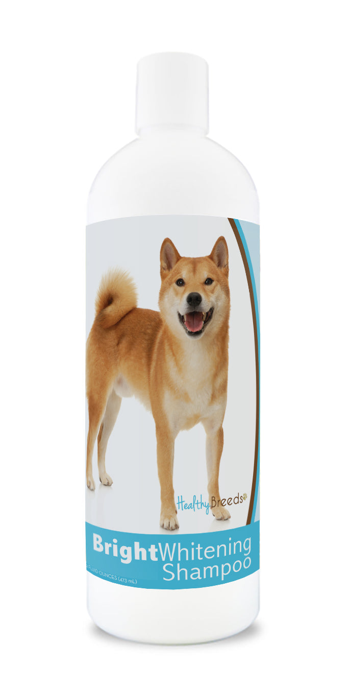 Akita shampoo top